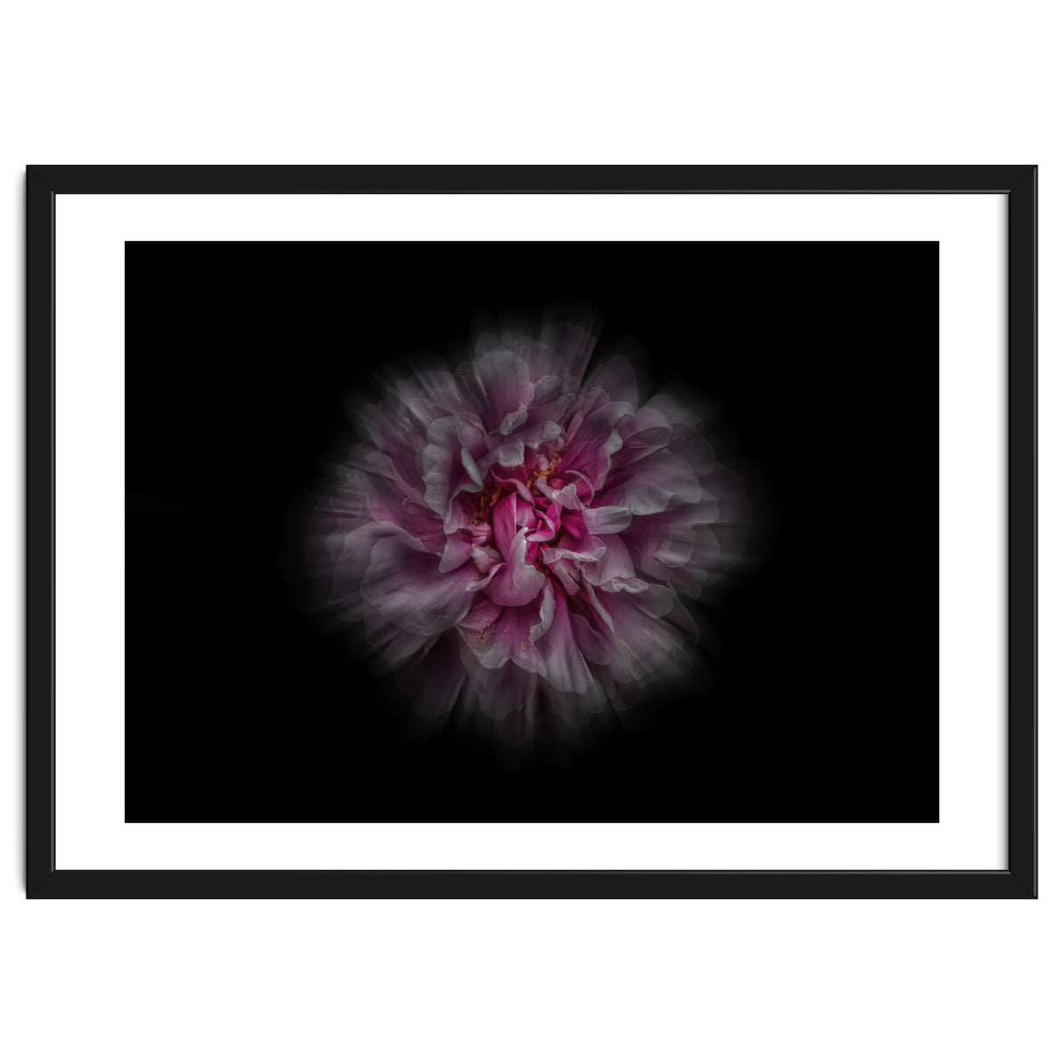 Backyard Flowers No 116 Color Flow Version