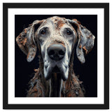 Old Dog 04 thumbnail