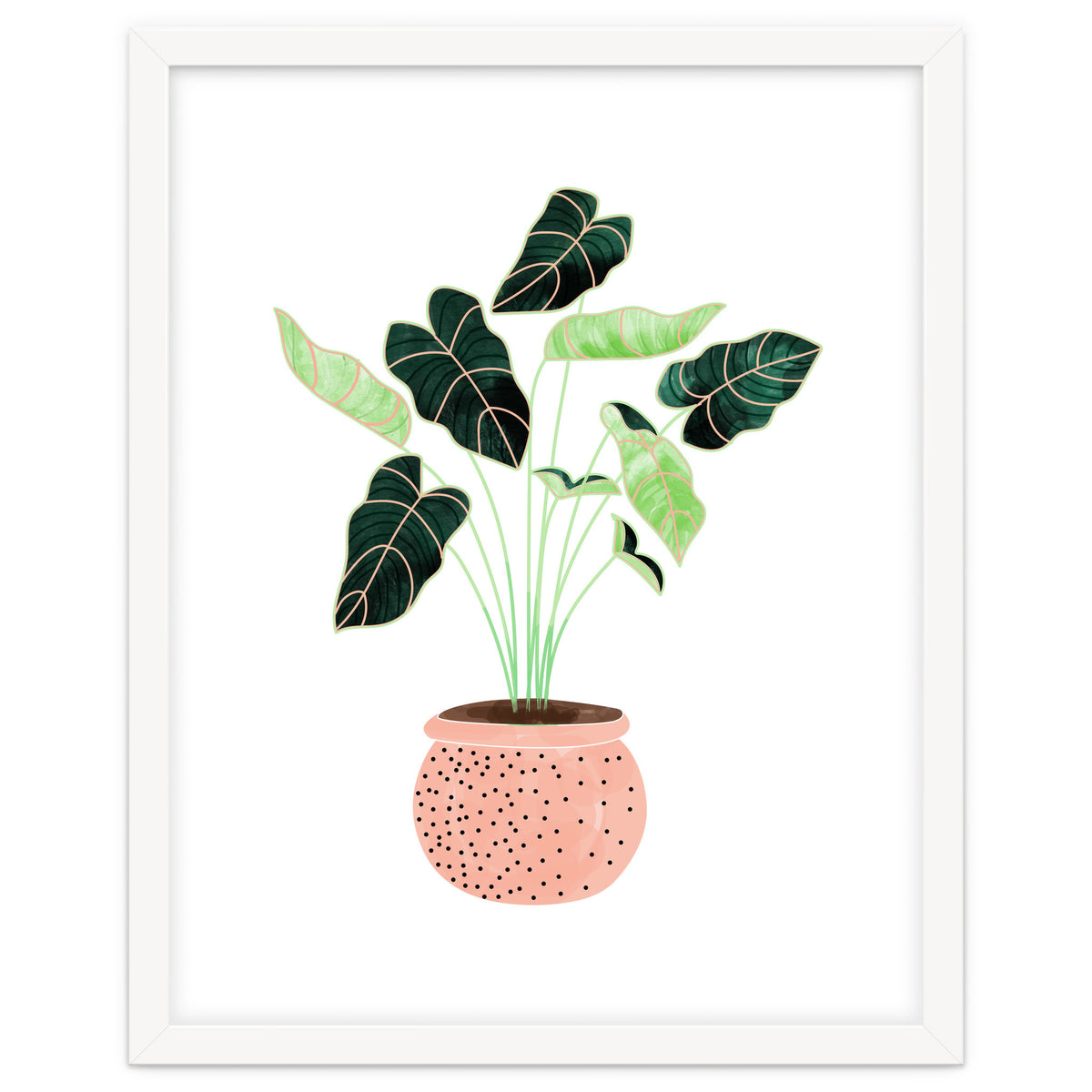 Home Plant | Ceramic Botanical Planter Illustration | Minimal Bohemian Watercolor Painting Polka Dot