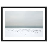 Seagulls in the winter snow beach thumbnail