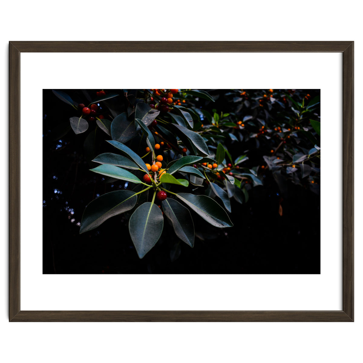 Orange, Green and Dark