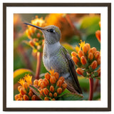 Hummingbird Perched On Orange Flowers thumbnail