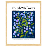 English Wildflowers | Forget-Me-Not thumbnail