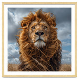 Majestic Lion Portrait Windblown Mane Outdoors thumbnail