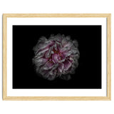Backyard Flowers No 118 Color Version thumbnail