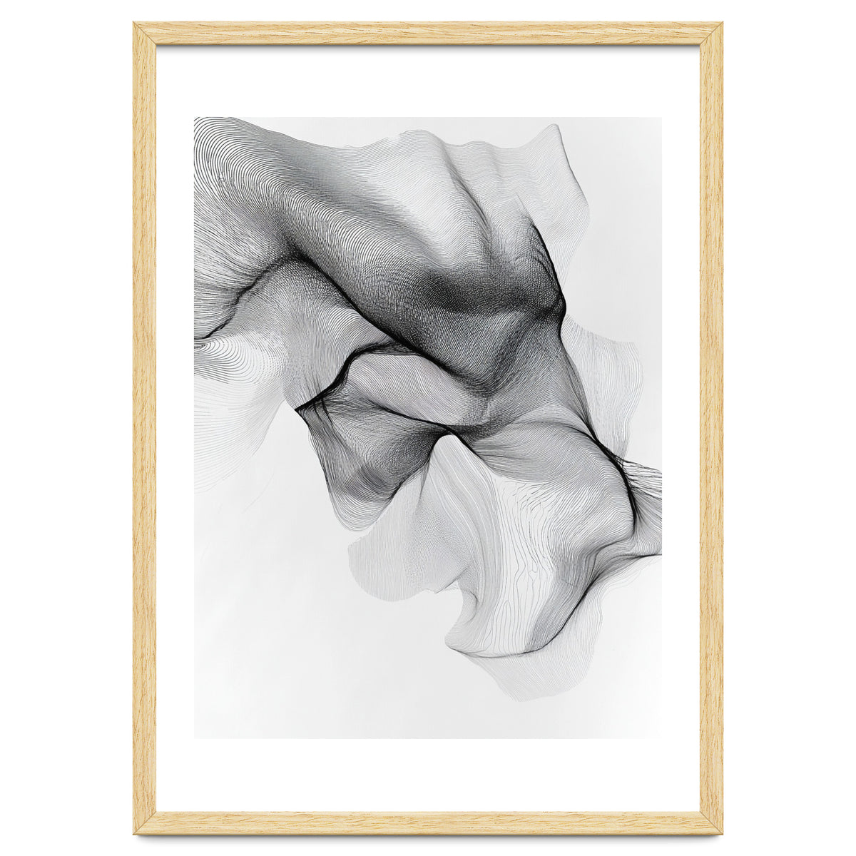 Abstract Black And White Flowing Lines Forming Organic Shapes And Forms
