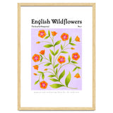 English Wildflowers | Scarlet Pimpernel thumbnail