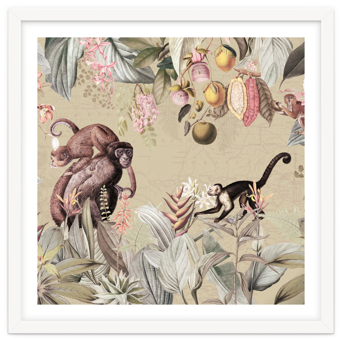 Vintage Exotic Monkeys In African Jungle Landscape