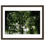Light bulb among the trees in the summer forest thumbnail