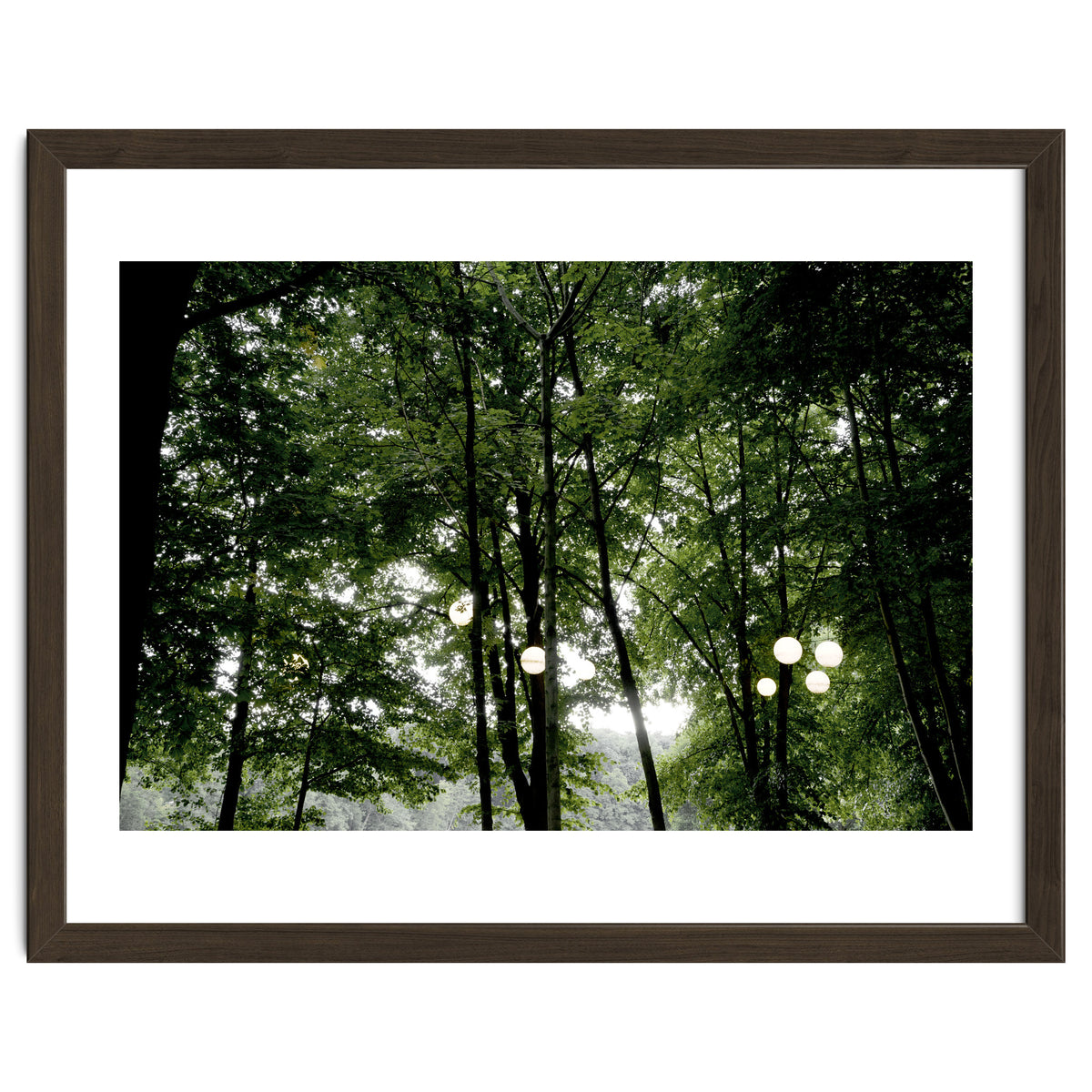 Light bulb among the trees in the summer forest
