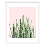 Botanical Balance thumbnail