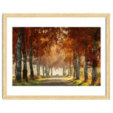 Red autumn thumbnail