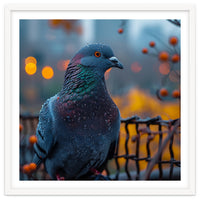 Pigeon With Water Droplets