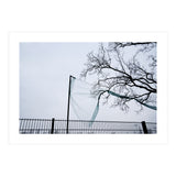 Net caught in a tree (Print Only) thumbnail