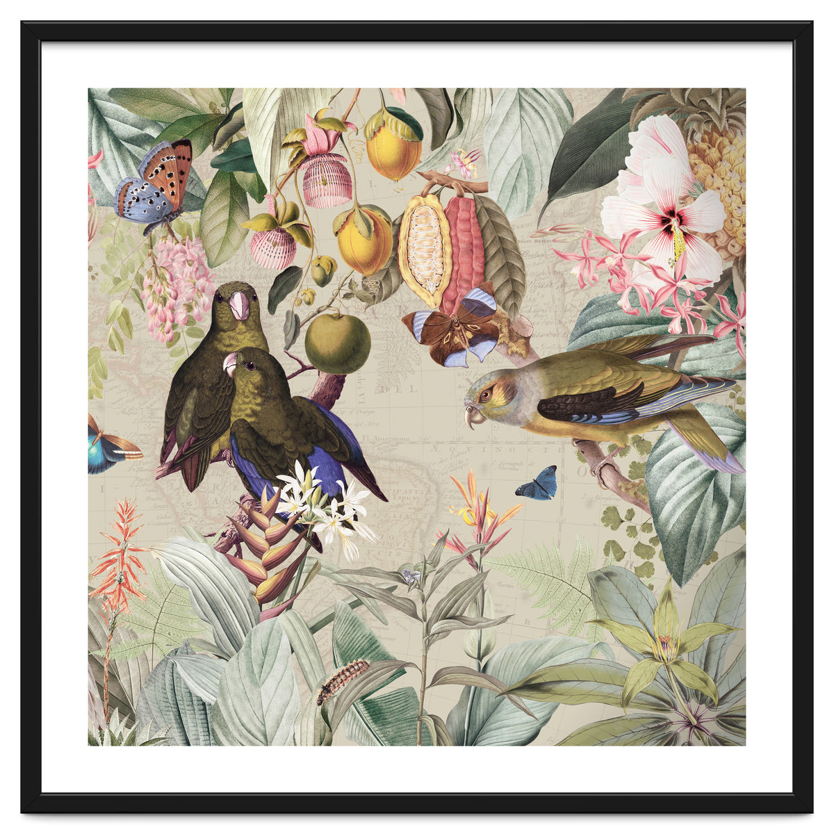 Colorful Parrots And Butterflies In Flower And Fruit Tropical Jungle