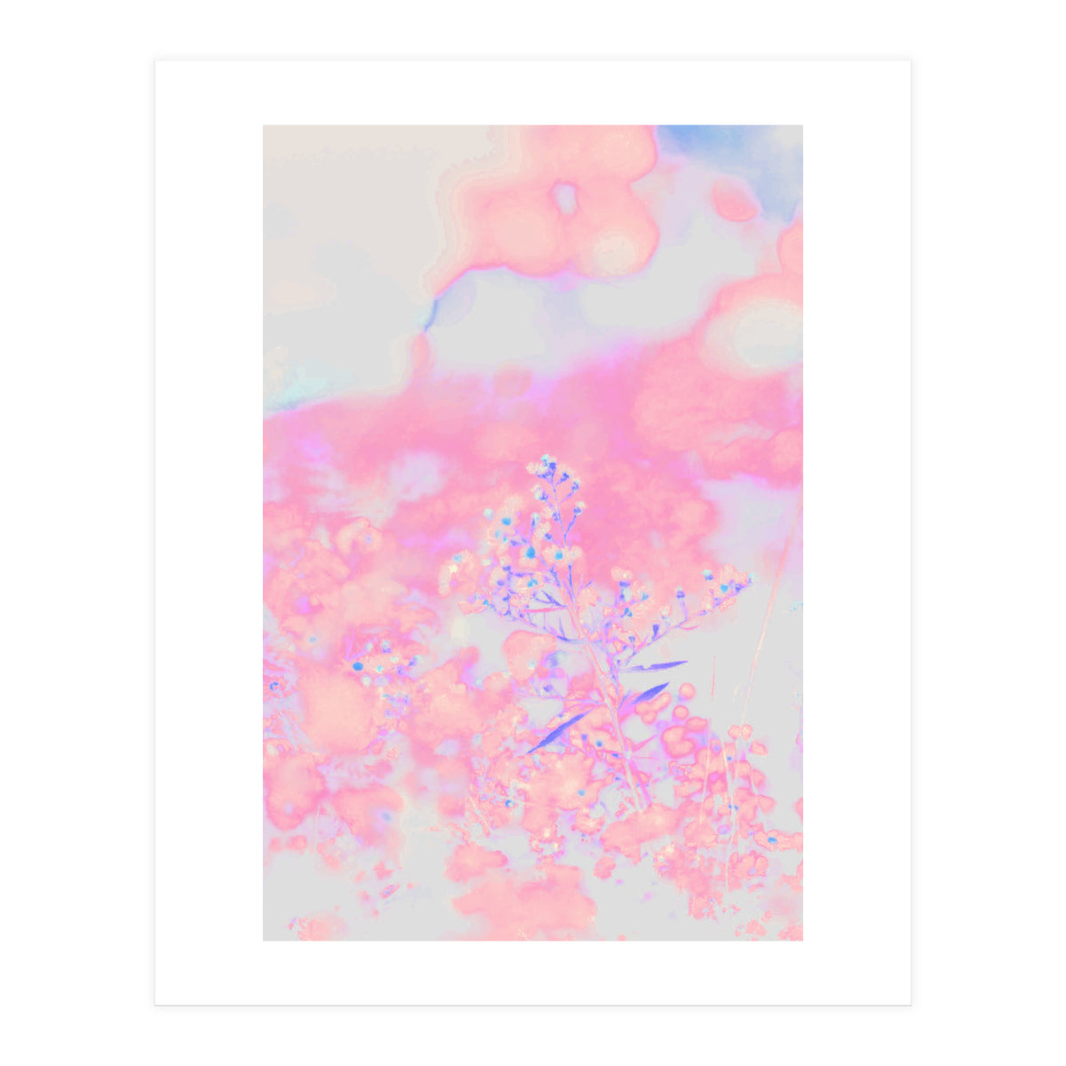 Chamomile (Print Only)