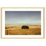 Dartmoor 2018 thumbnail
