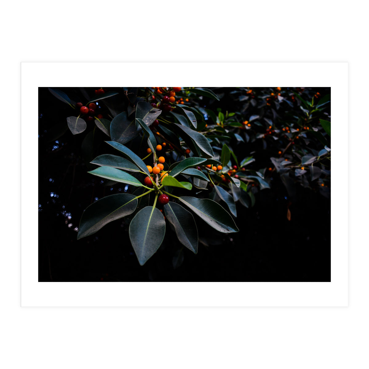 Orange, Green and Dark (Print Only)