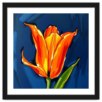 Lily Fresh