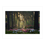 Rhododendron forest (Print Only) thumbnail