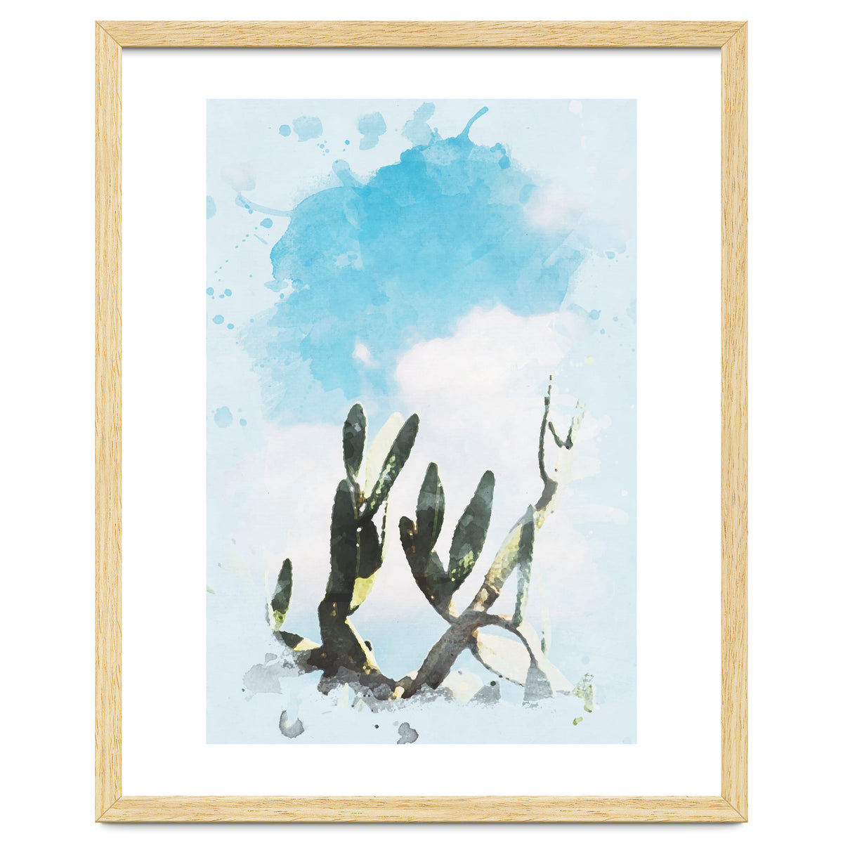 Cactus & Sky