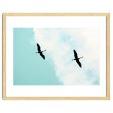 Crane(s) V thumbnail
