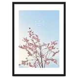 Sakura - cherry blossom thumbnail