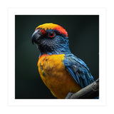 Close Up Colorful Parrot Perched On A Branch (Print Only) thumbnail