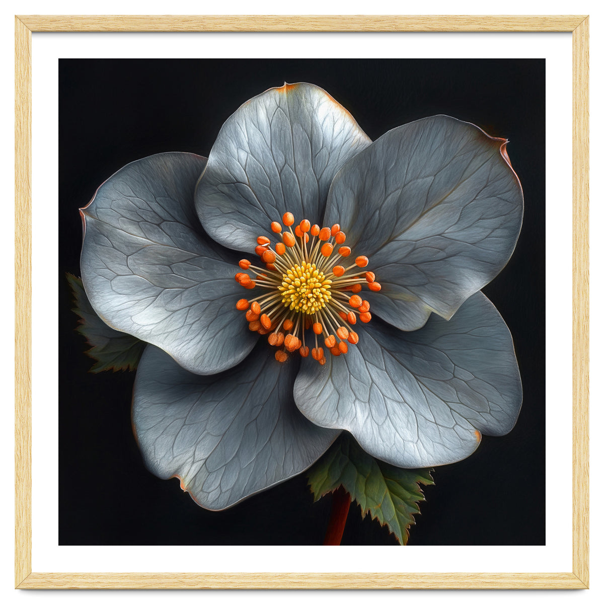 Hellebore | Silver Magic