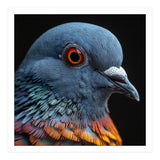 Close Up Of A Pigeon Bird (Print Only) thumbnail