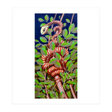 Eden (Print Only) thumbnail