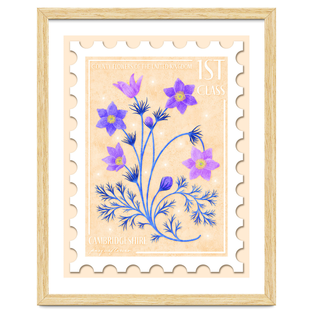 The Cambridgeshire Pasqueflower Postage Stamp
