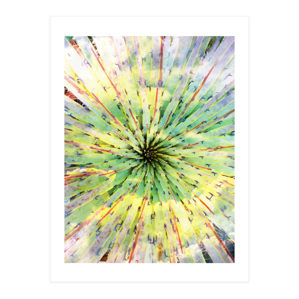 Bitter Sweet (Print Only)