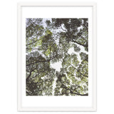 Mother Nature thumbnail