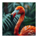 Close Up Of A Vibrant Orange Flamingo Bird (Print Only) thumbnail