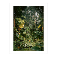 A small jungle in a green house (Print Only)