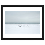 Seagulls in the Snow beach thumbnail