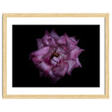 Backyard Flowers No 111 Color Version thumbnail