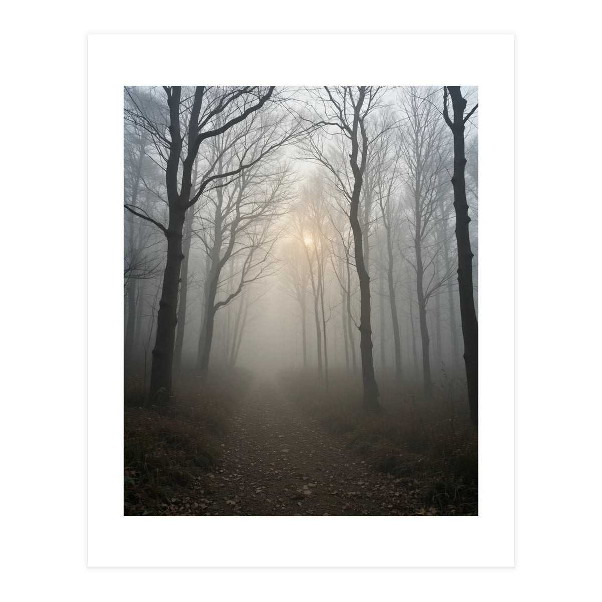 Ethereal Morning Light Breaking Through Dense Forest Fog (Print Only)