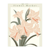 Flower Market Cap Town Amaryllis (Print Only) thumbnail