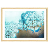 Moonlit Reef thumbnail