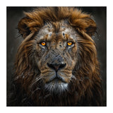 Majestic Lion With Glowing Eyes Close Up Portrait (Print Only) thumbnail