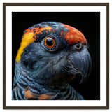 Close Up Of A Colorful Parrot Bird's Head thumbnail