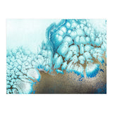Moonlit Reef (Print Only) thumbnail