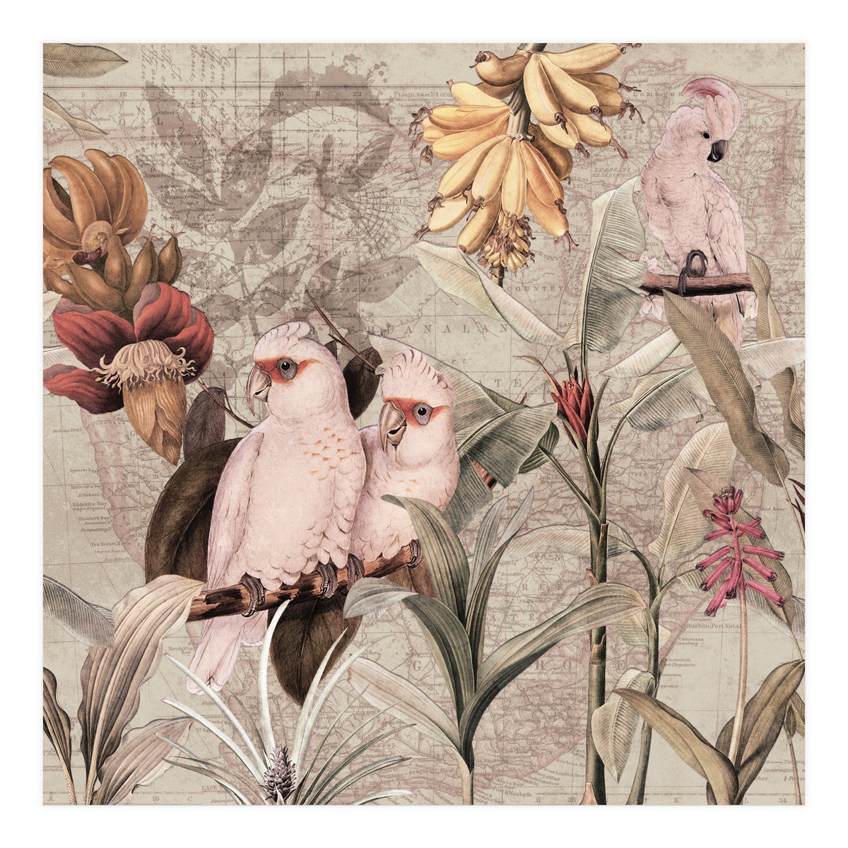 Cockatoo Exotic Bird Jungle  (Print Only)