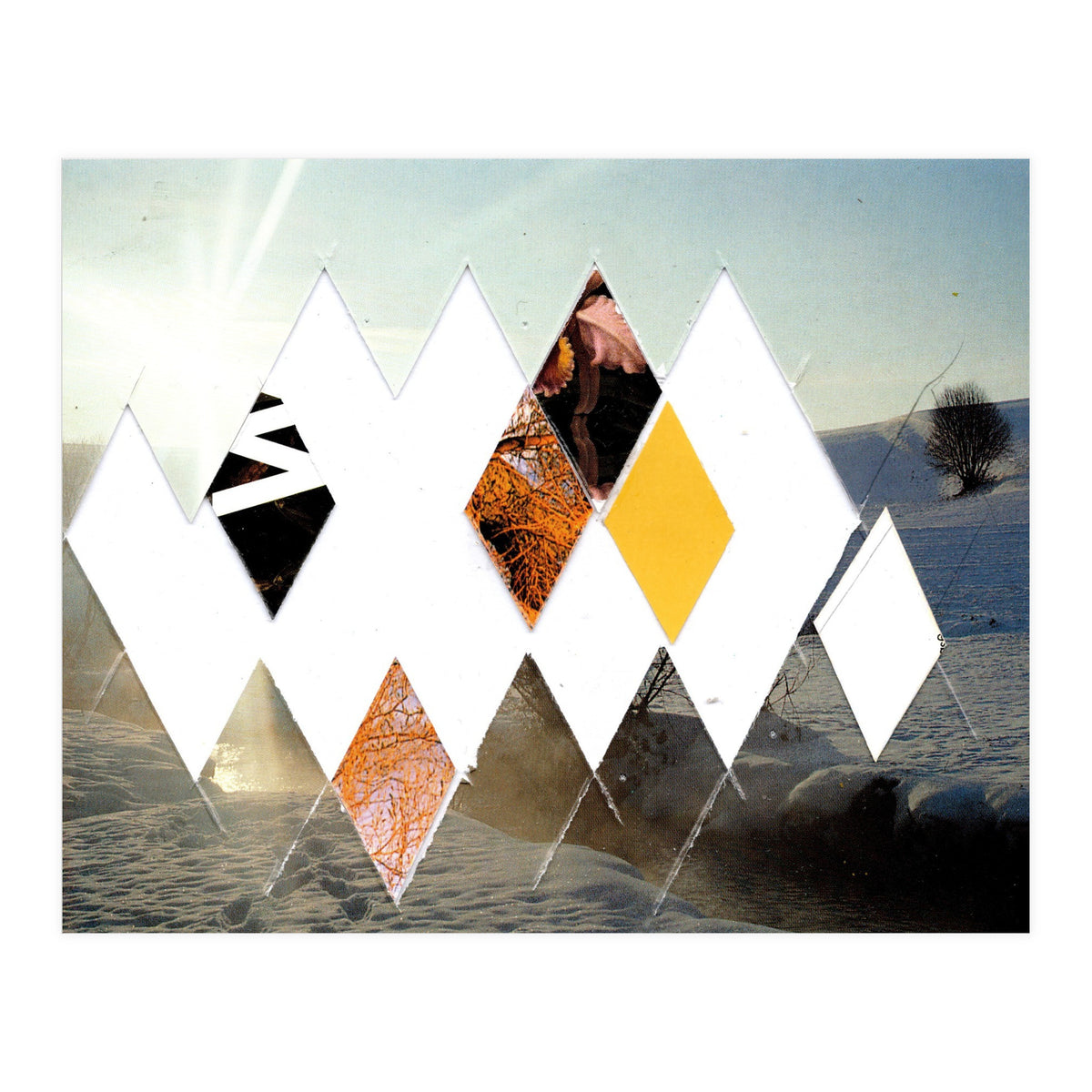 Fragmented · Botschaft Der Pappen??? · Winterimpressionlooklike (Print Only)