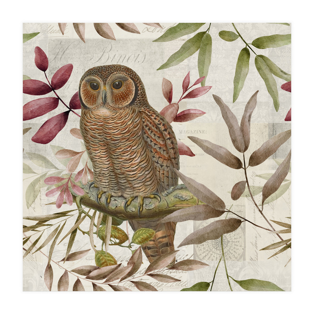 Autumn Owl (Print Only)