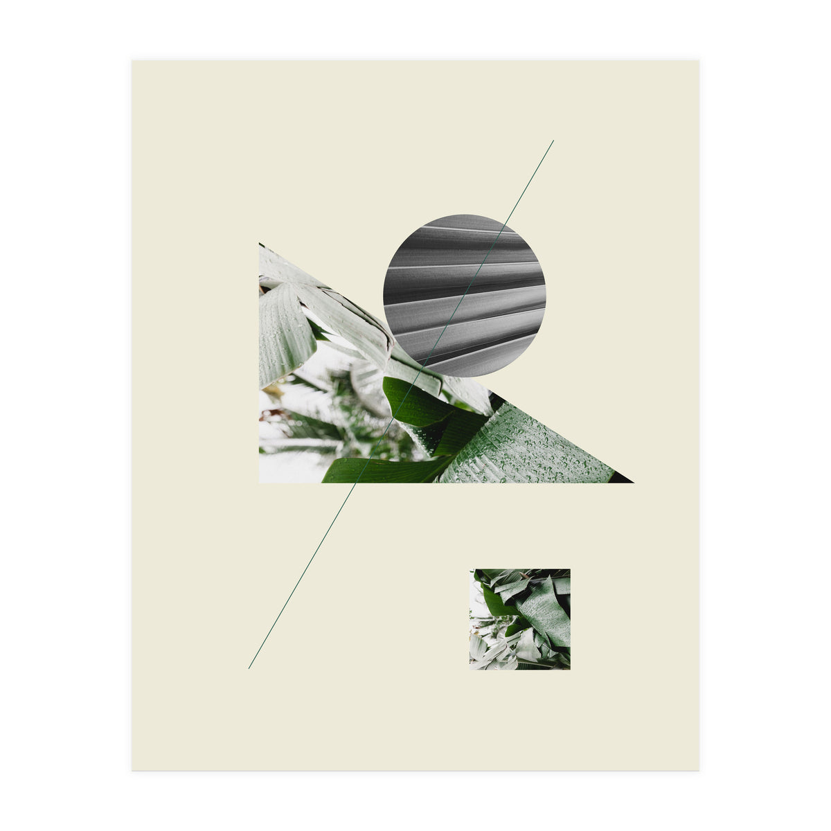 Tropical Geometry No 2 (Print Only)