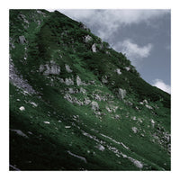 SKIN OF NATURE - WILD CLIFF (Print Only)