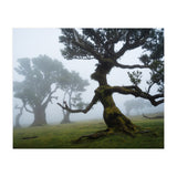 Forest queen (Print Only) thumbnail